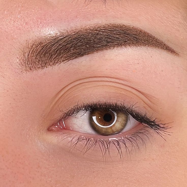 Powder Brows